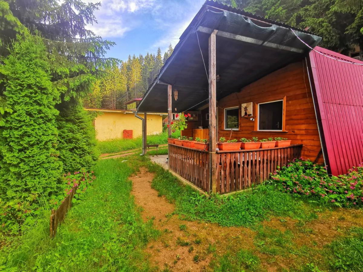 Orlino Holiday Park Sarnitsa Εξωτερικό φωτογραφία