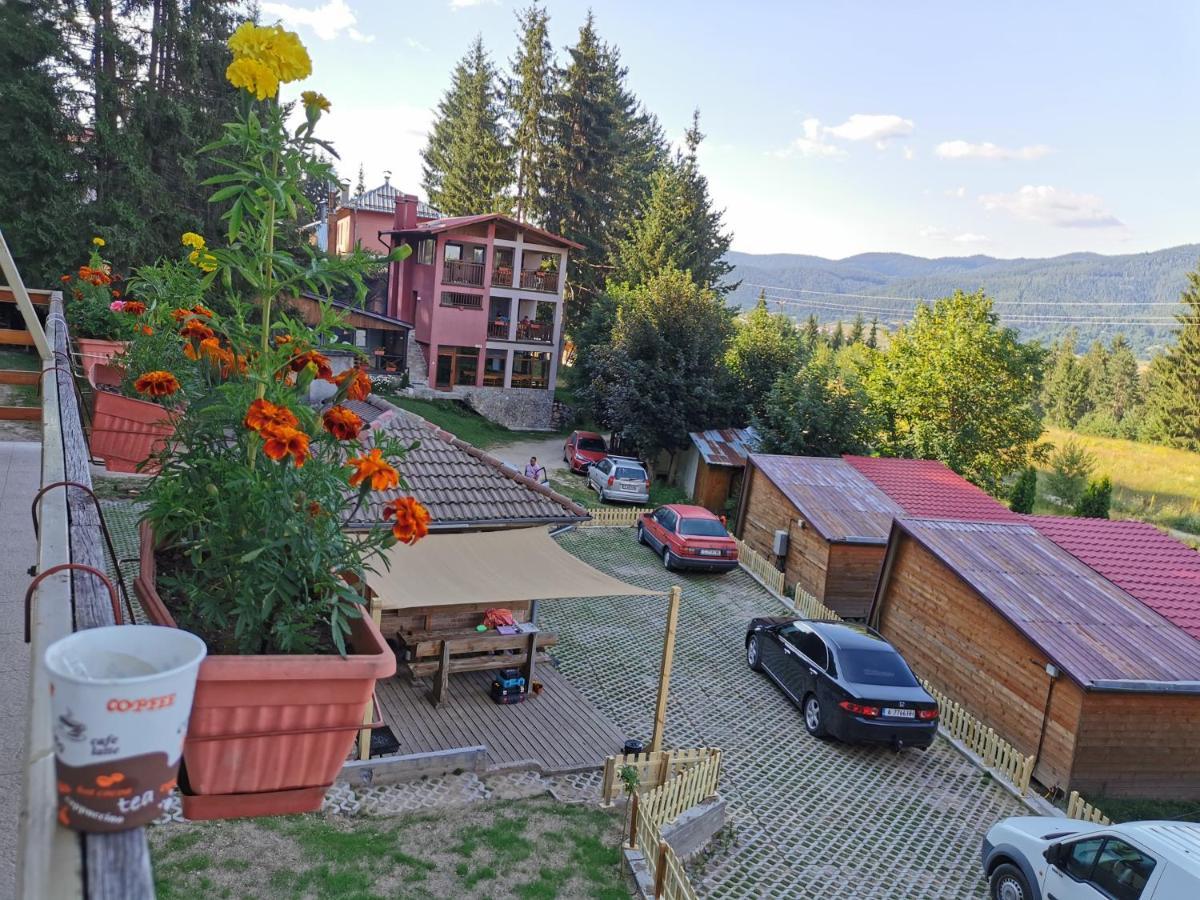 Orlino Holiday Park Sarnitsa Εξωτερικό φωτογραφία